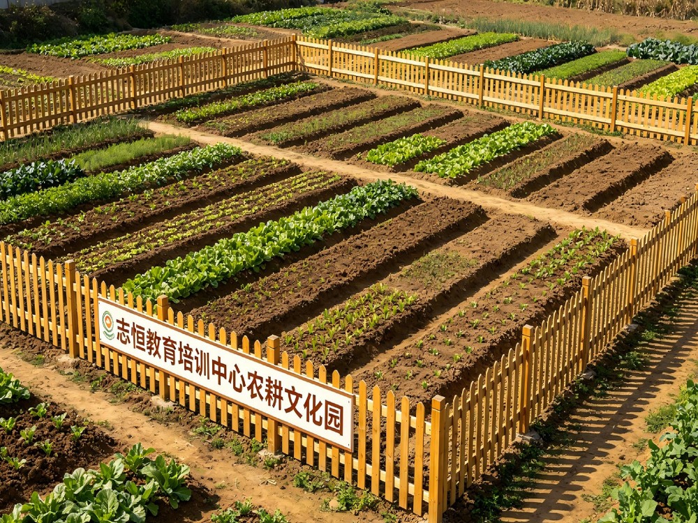 滁州叛逆小孩管教学校怎么选?家长最关心的几个问题一次说清